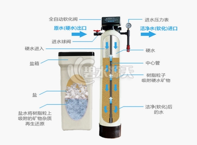陰陽離子交換器